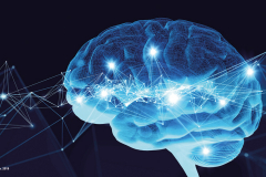 neurosience